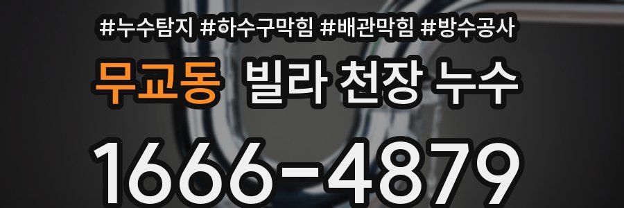 무교동 빌라 천장 누수