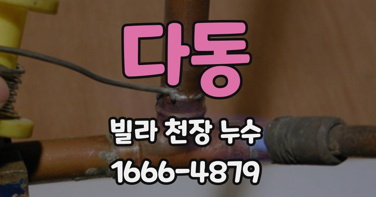다동 빌라 천장 누수