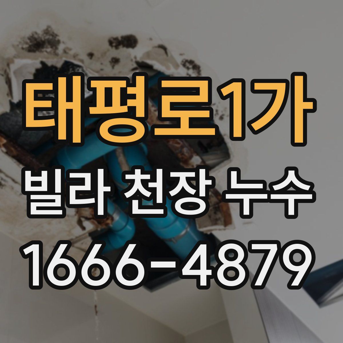 태평로1가 빌라 천장 누수