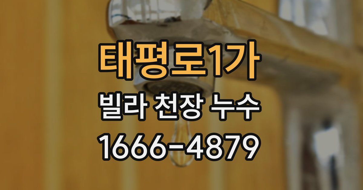 태평로1가 빌라 천장 누수