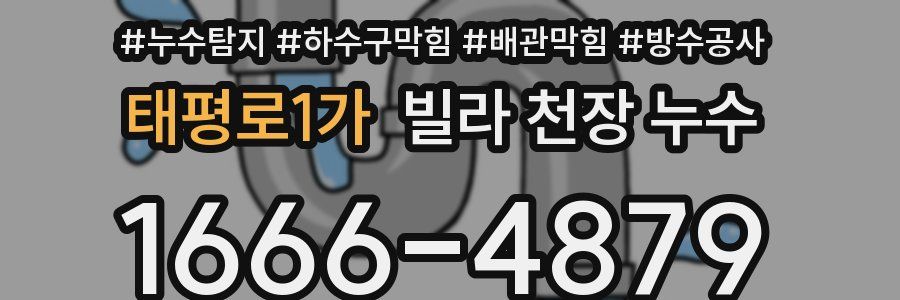 태평로1가 빌라 천장 누수