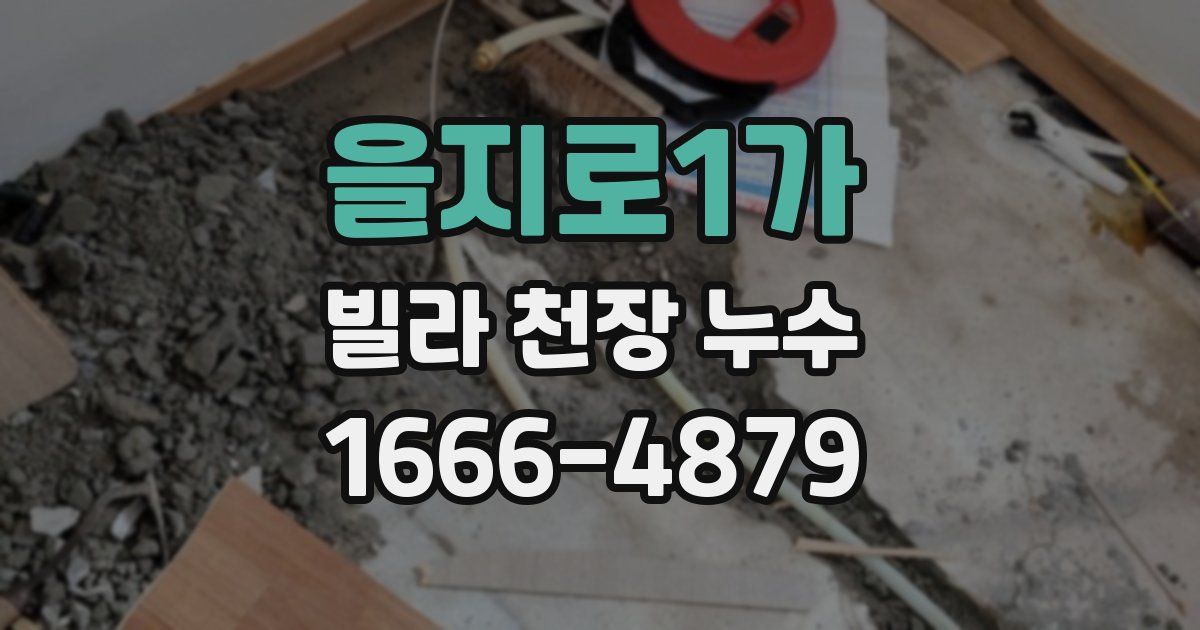 을지로1가 빌라 천장 누수