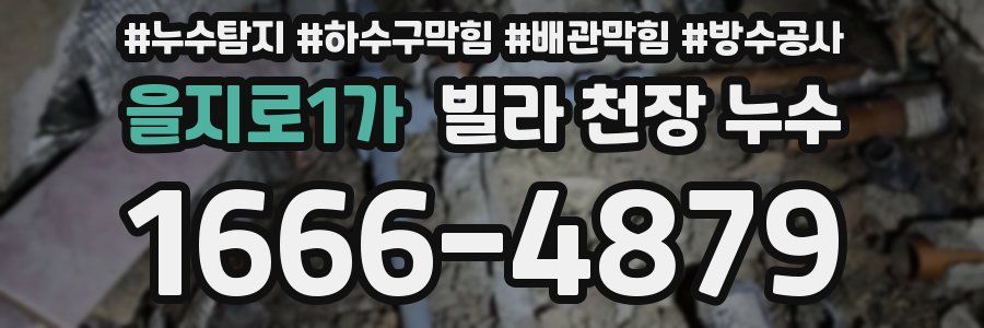 을지로1가 빌라 천장 누수