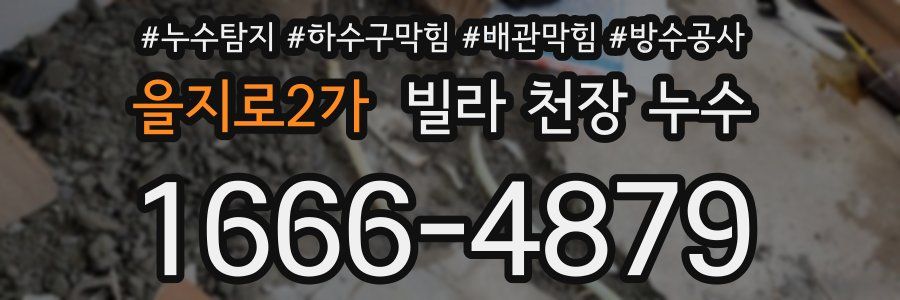 을지로2가 빌라 천장 누수