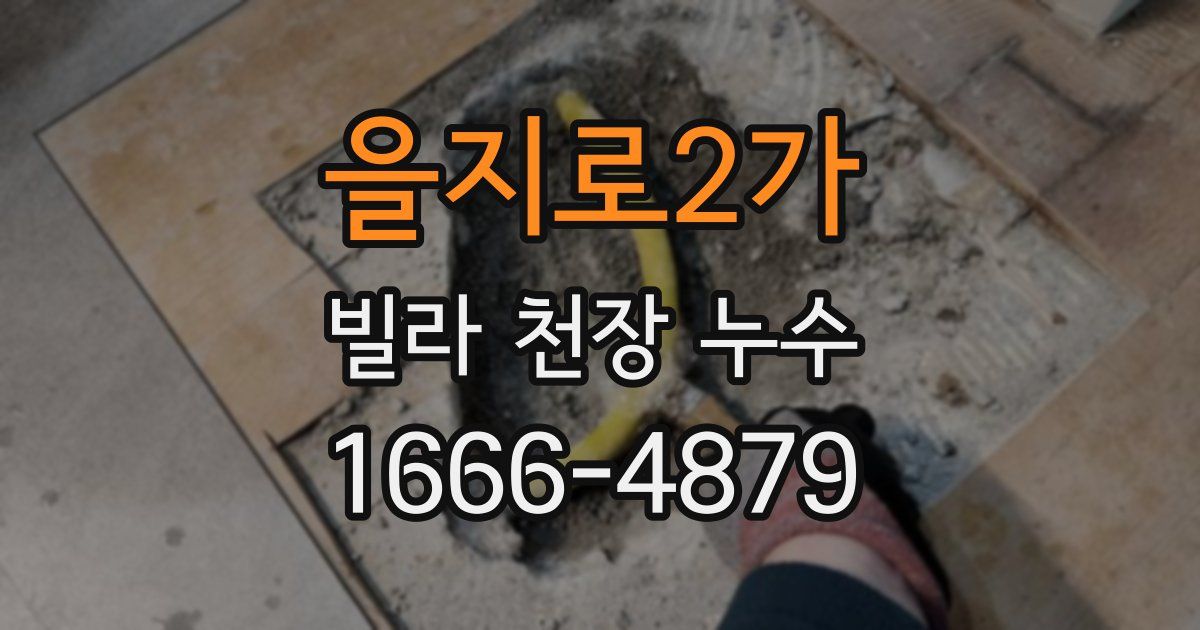 을지로2가 빌라 천장 누수