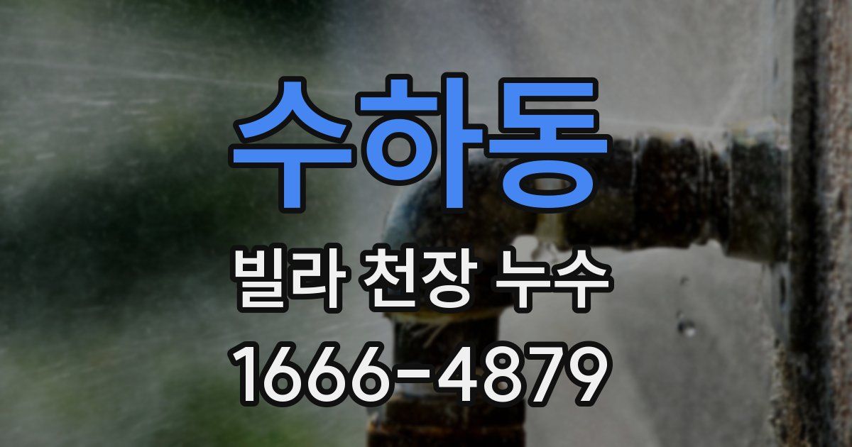 수하동 빌라 천장 누수
