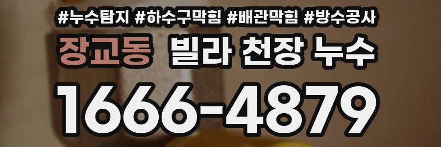 장교동 빌라 천장 누수