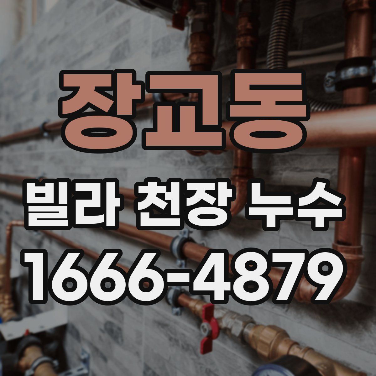 장교동 빌라 천장 누수