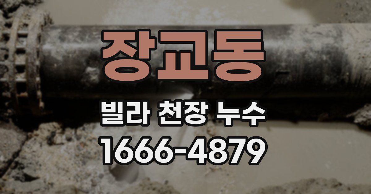 장교동 빌라 천장 누수