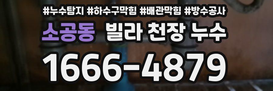 소공동 빌라 천장 누수