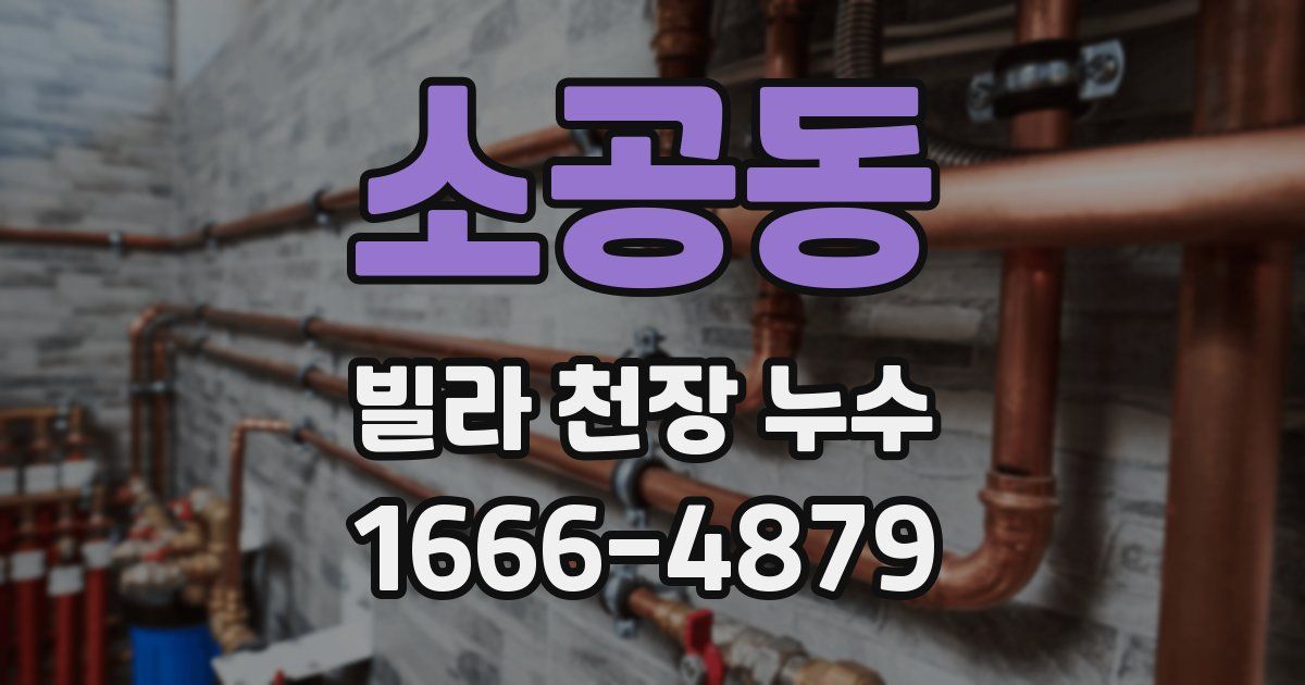 소공동 빌라 천장 누수