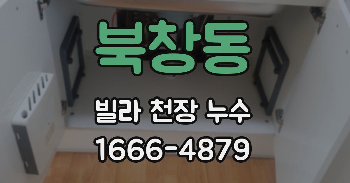 북창동 빌라 천장 누수
