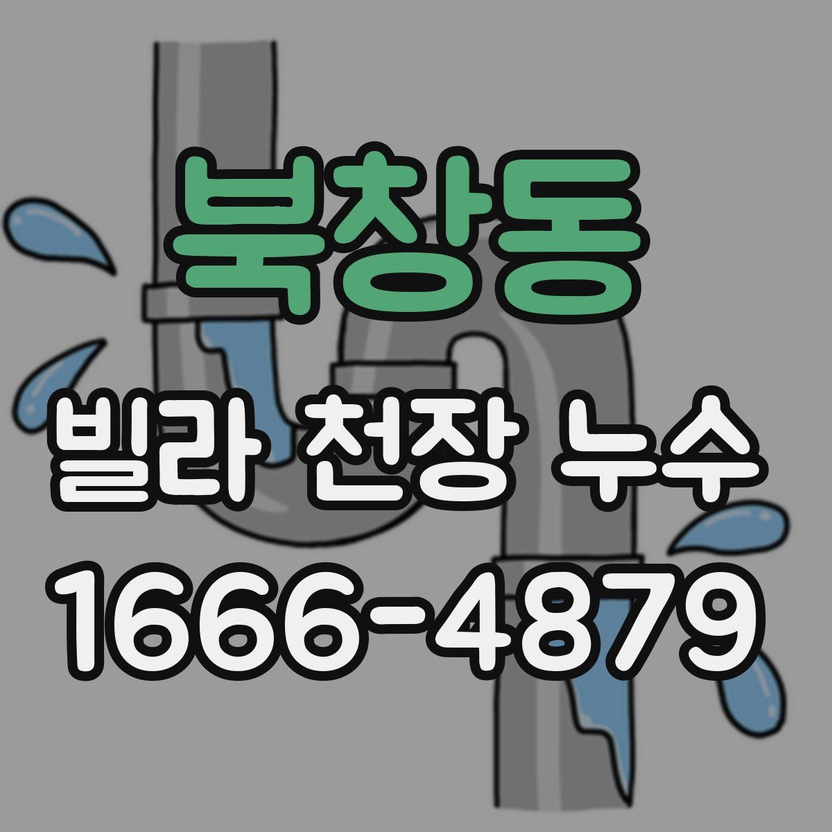 북창동 빌라 천장 누수