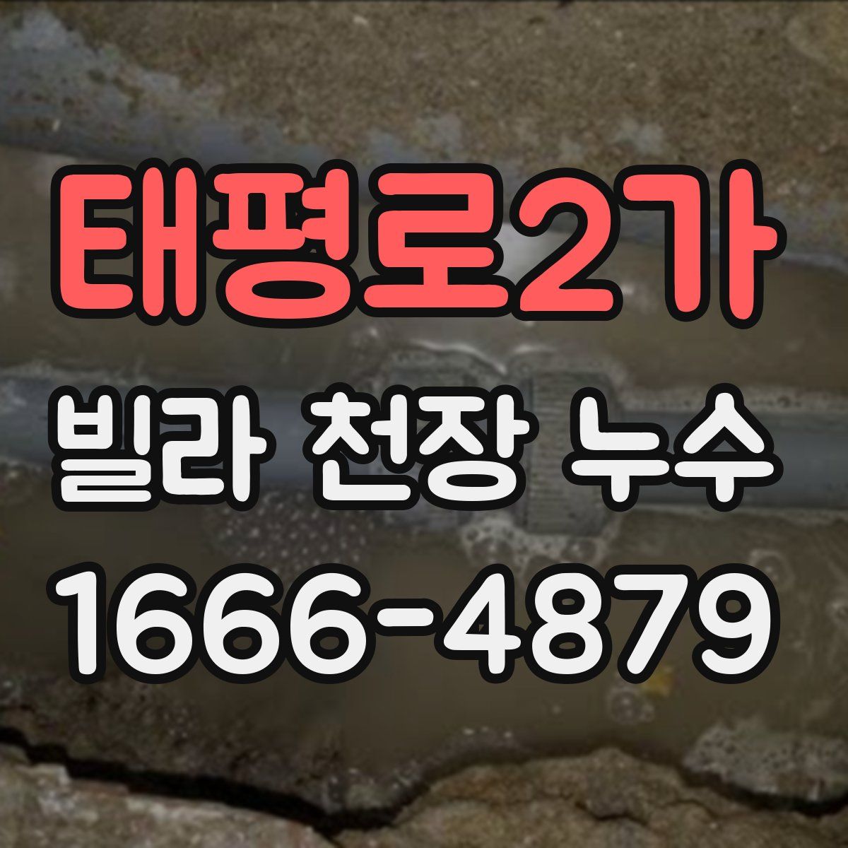 태평로2가 빌라 천장 누수