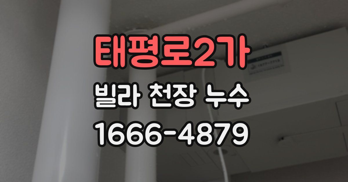 태평로2가 빌라 천장 누수