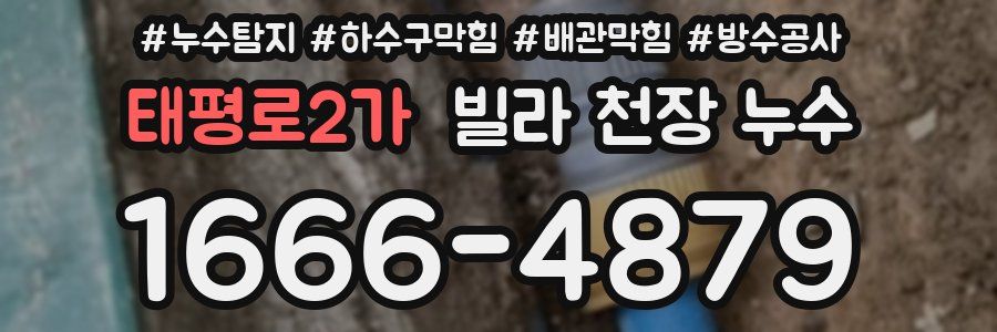 태평로2가 빌라 천장 누수