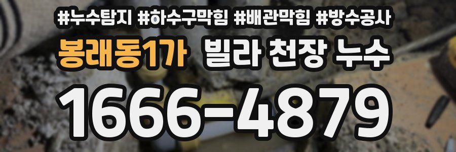 봉래동1가 빌라 천장 누수