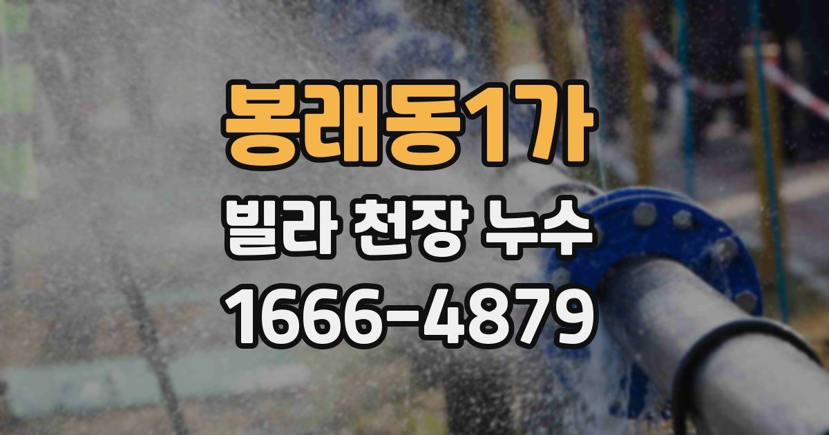 봉래동1가 빌라 천장 누수