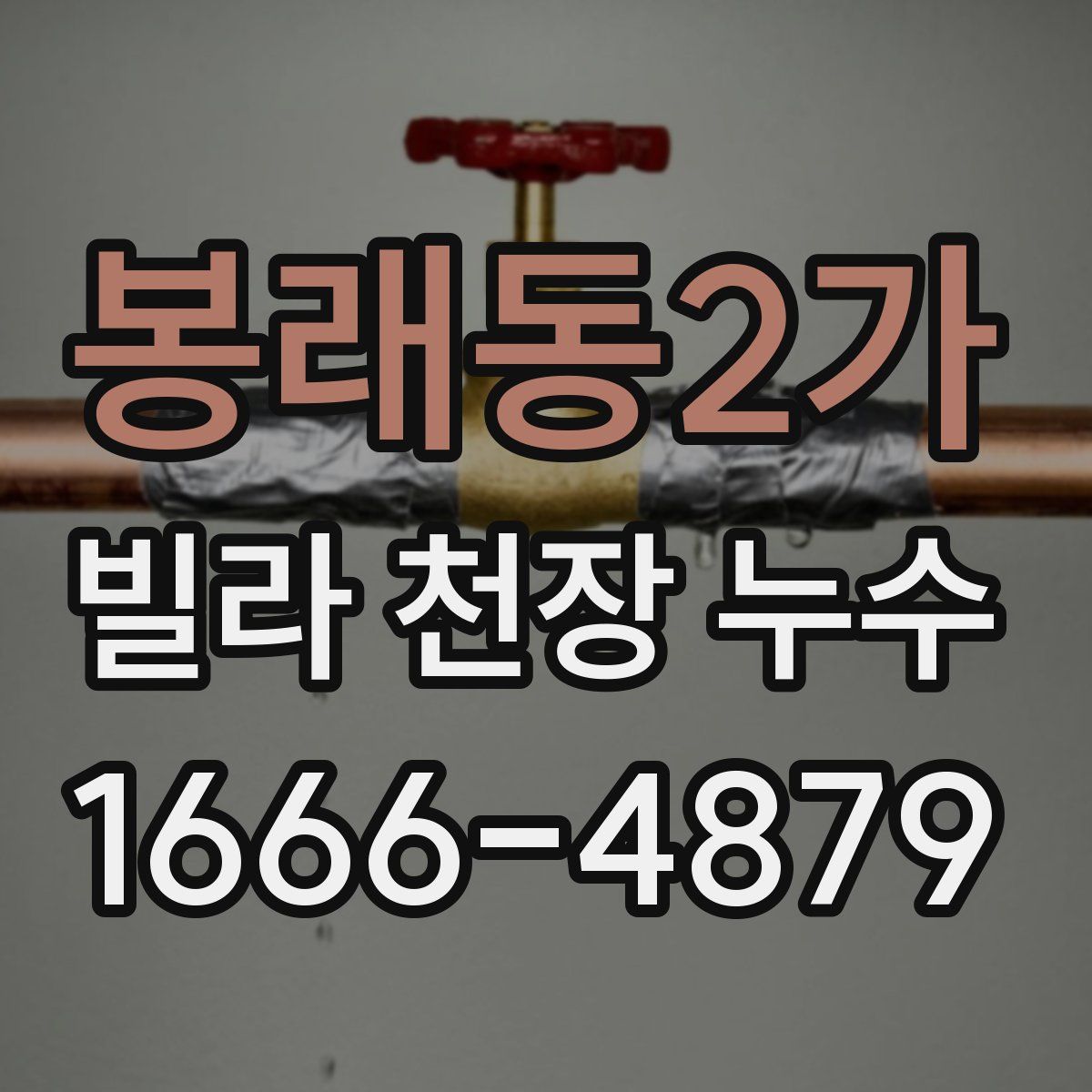 봉래동2가 빌라 천장 누수