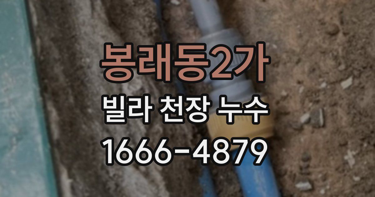 봉래동2가 빌라 천장 누수
