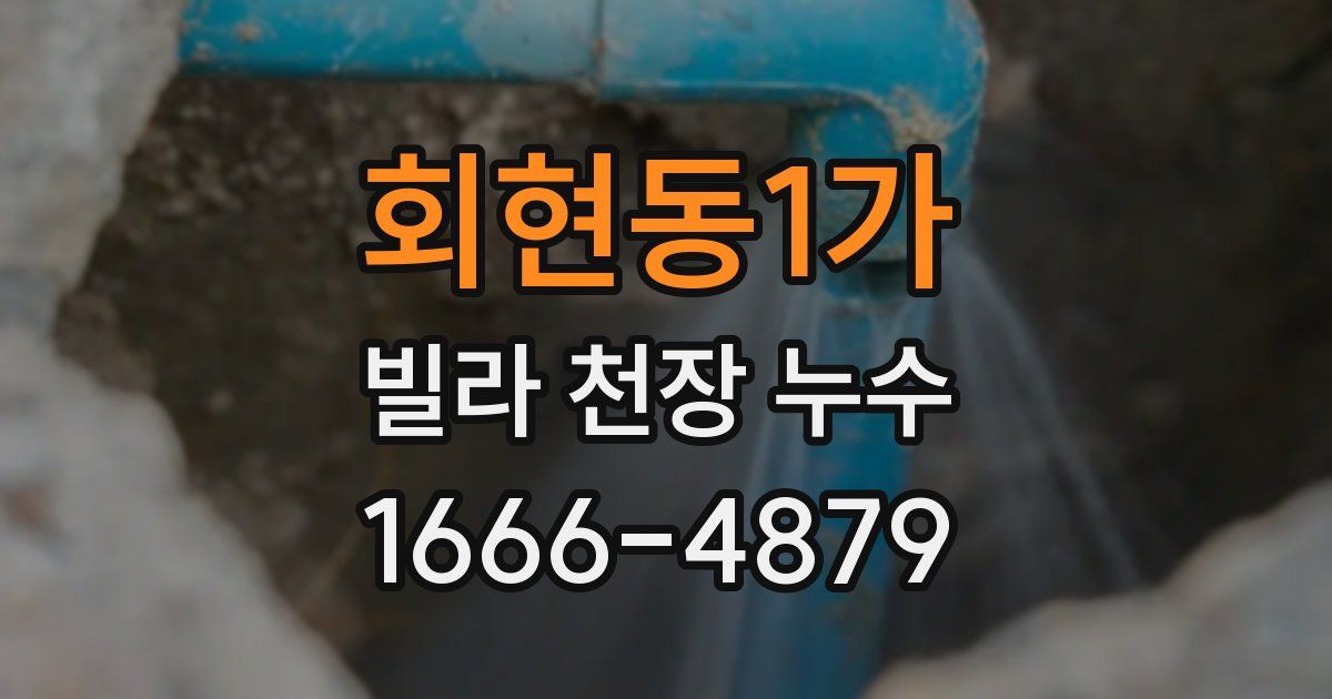회현동1가 빌라 천장 누수