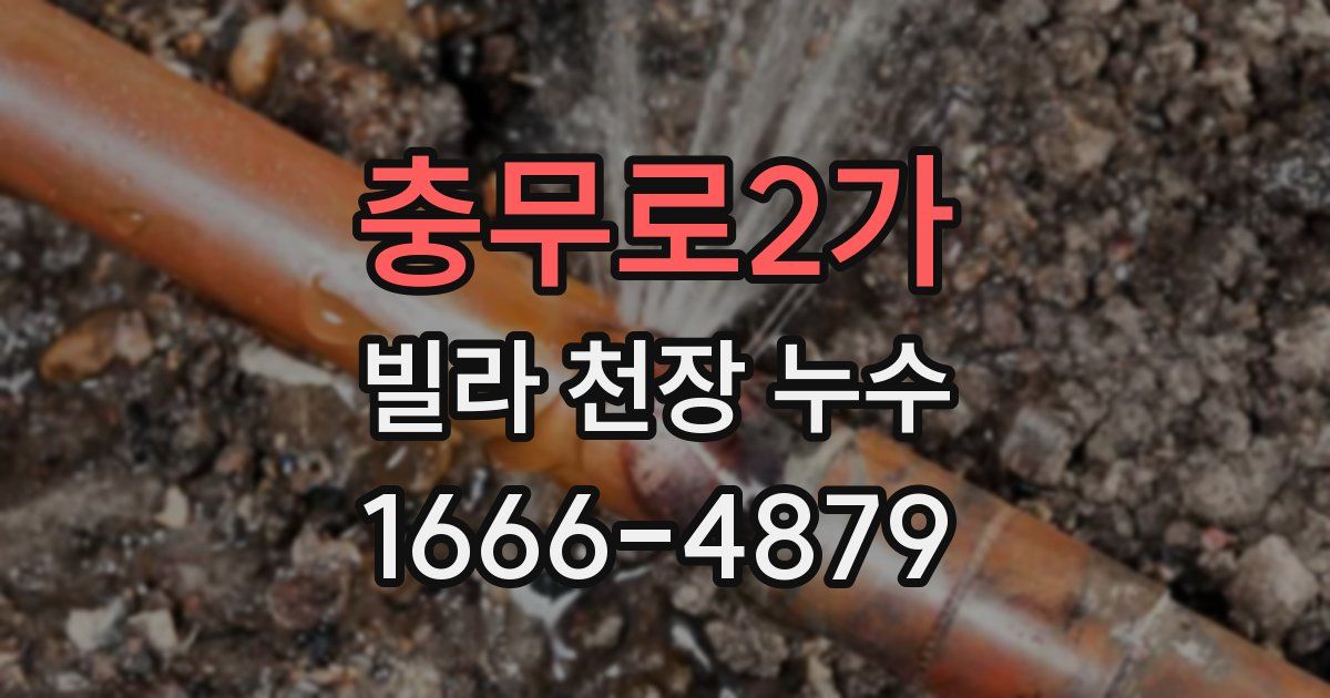 충무로2가 빌라 천장 누수