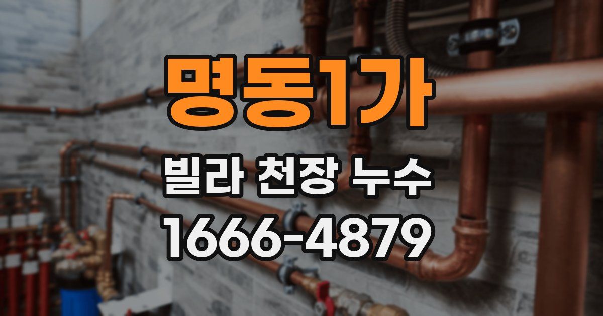 명동1가 빌라 천장 누수