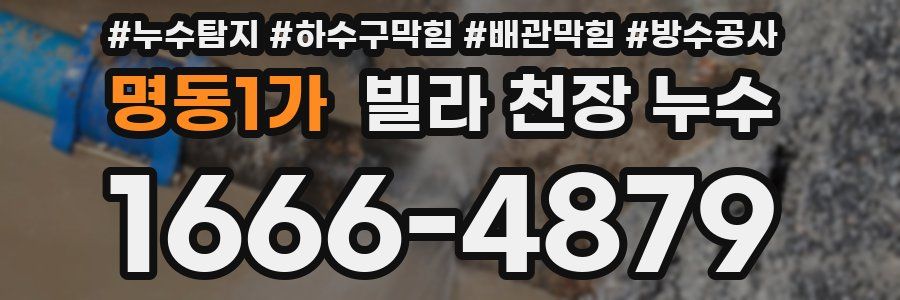 명동1가 빌라 천장 누수