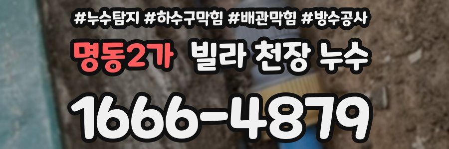 명동2가 빌라 천장 누수