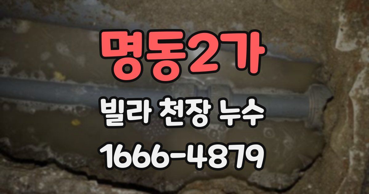 명동2가 빌라 천장 누수