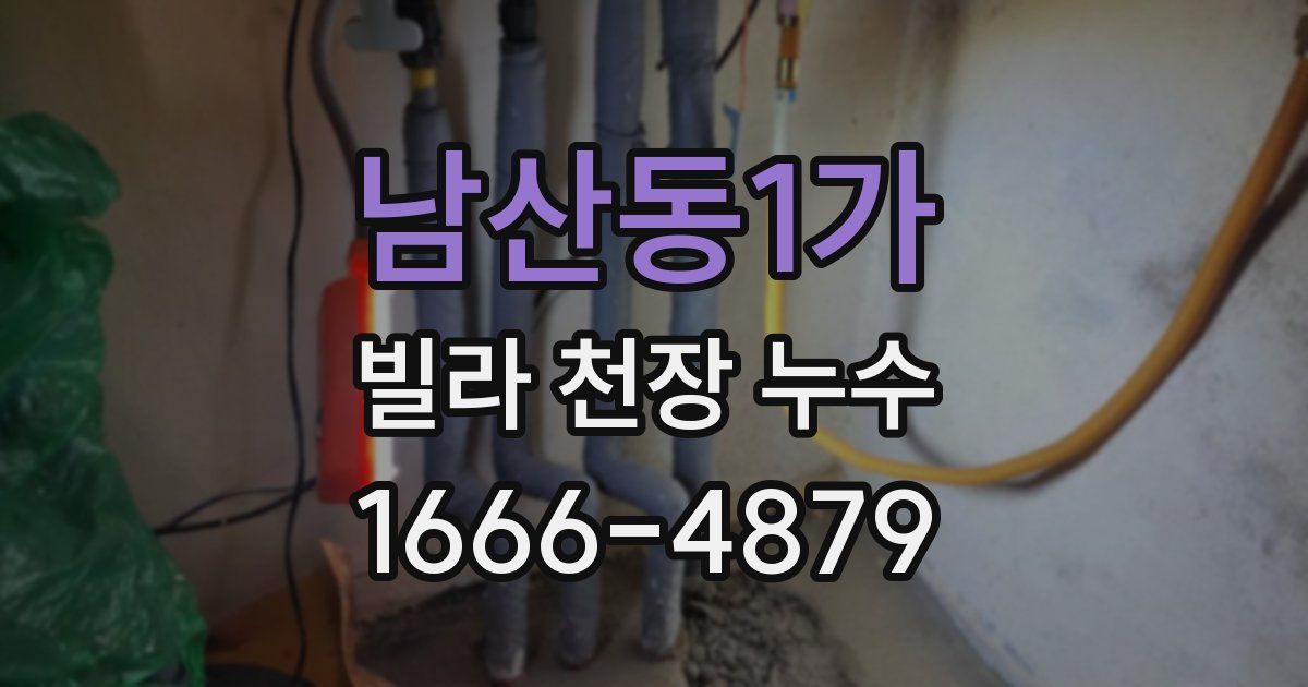 남산동1가 빌라 천장 누수