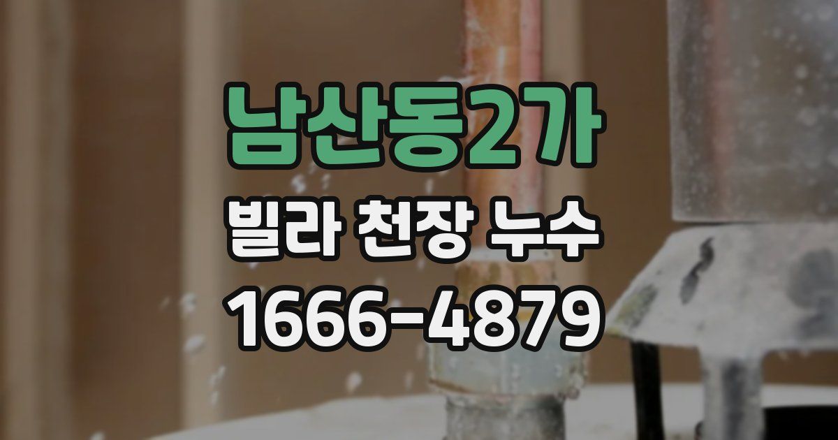남산동2가 빌라 천장 누수