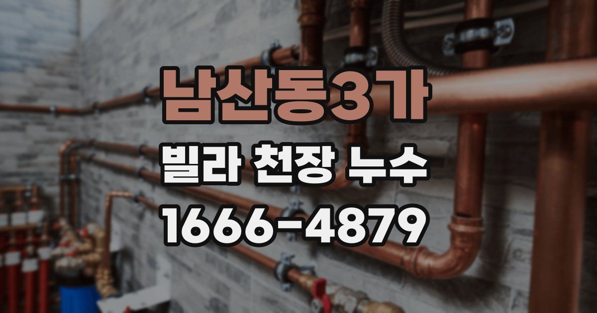 남산동3가 빌라 천장 누수