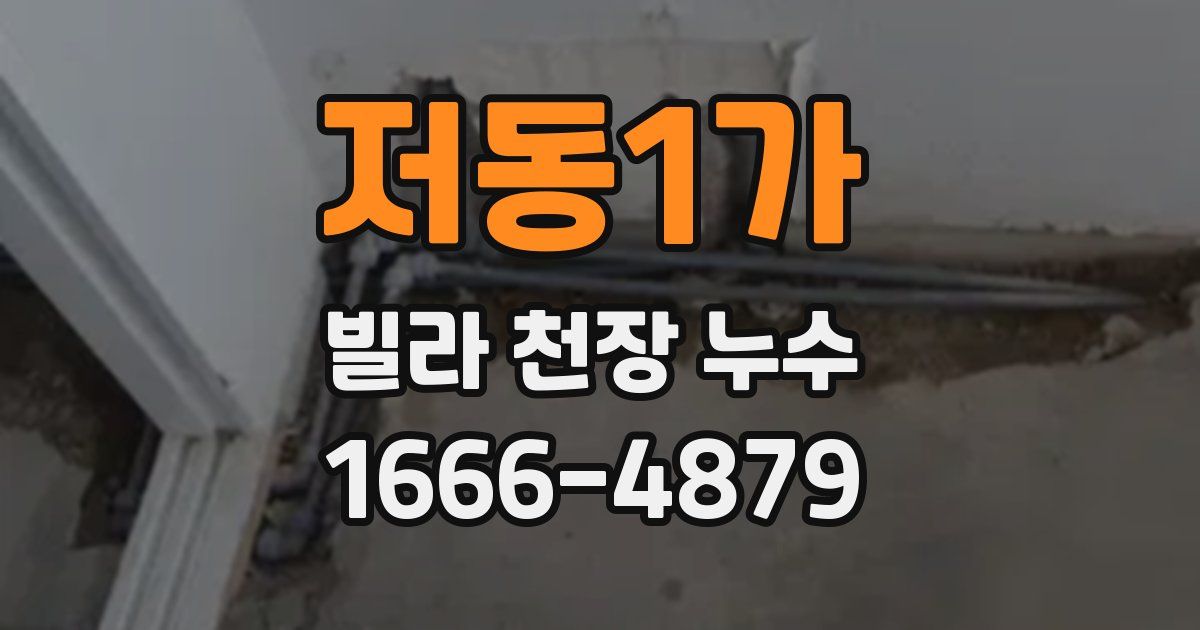저동1가 빌라 천장 누수