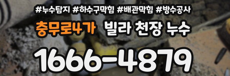 충무로4가 빌라 천장 누수