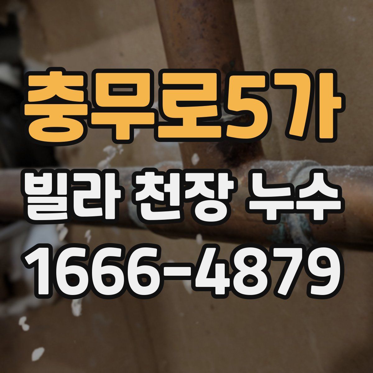 충무로5가 빌라 천장 누수