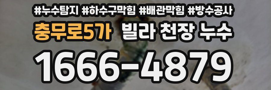 충무로5가 빌라 천장 누수