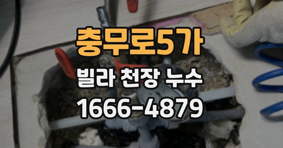 충무로5가 빌라 천장 누수