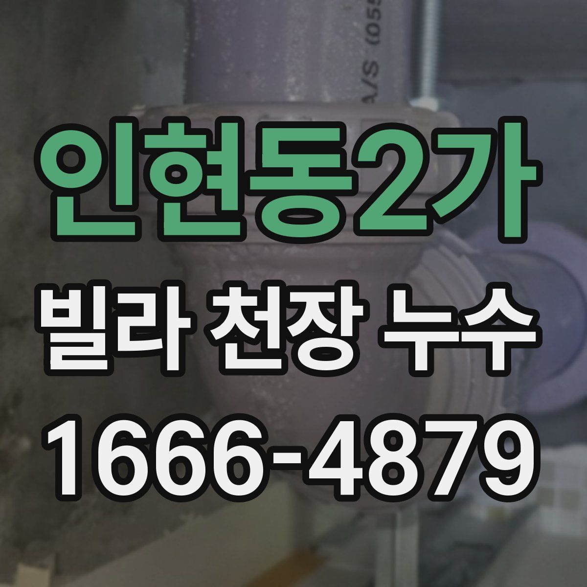인현동2가 빌라 천장 누수