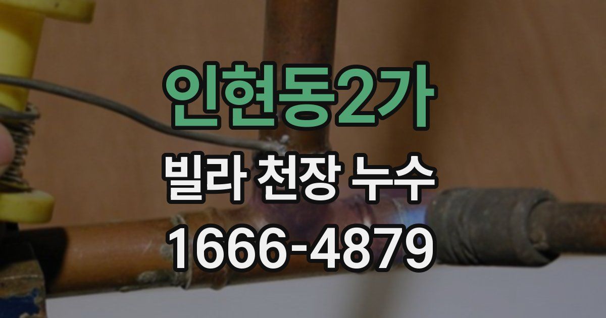 인현동2가 빌라 천장 누수