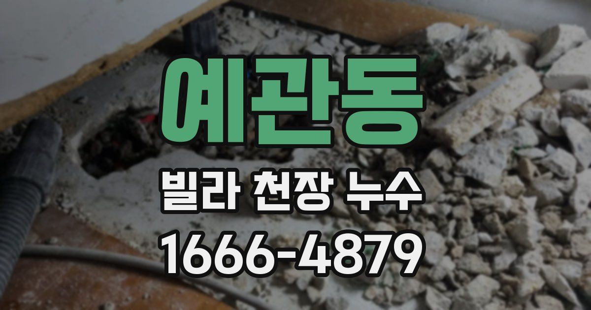 예관동 빌라 천장 누수