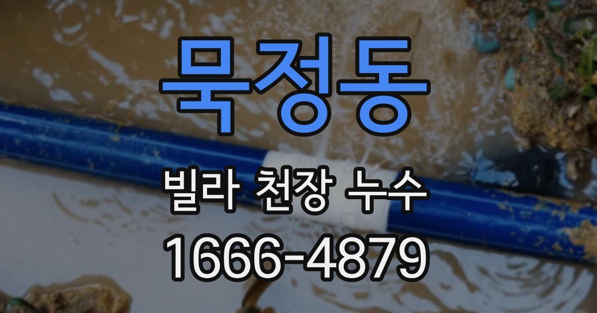 묵정동 빌라 천장 누수