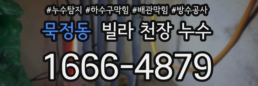 묵정동 빌라 천장 누수