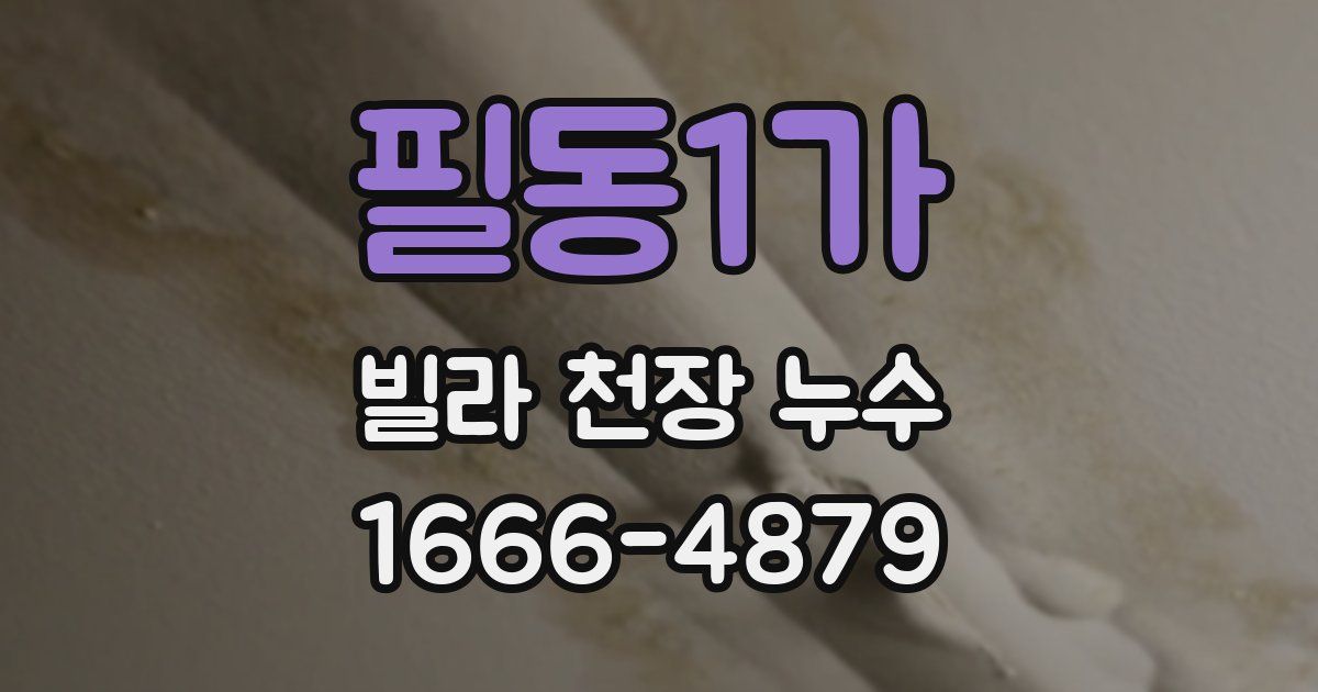필동1가 빌라 천장 누수
