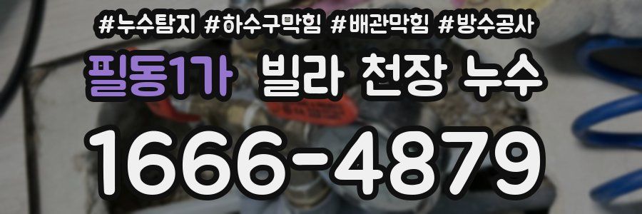 필동1가 빌라 천장 누수