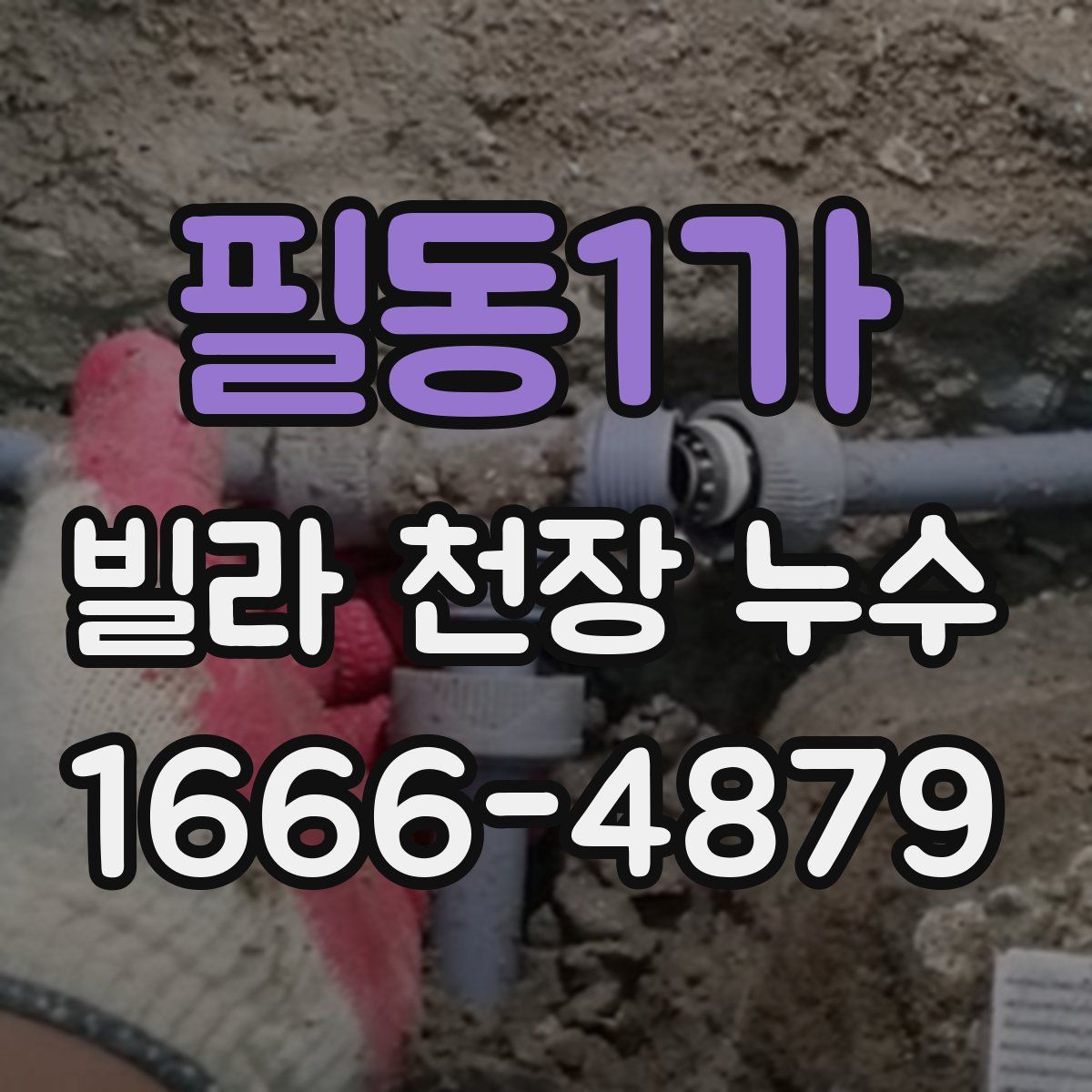 필동1가 빌라 천장 누수
