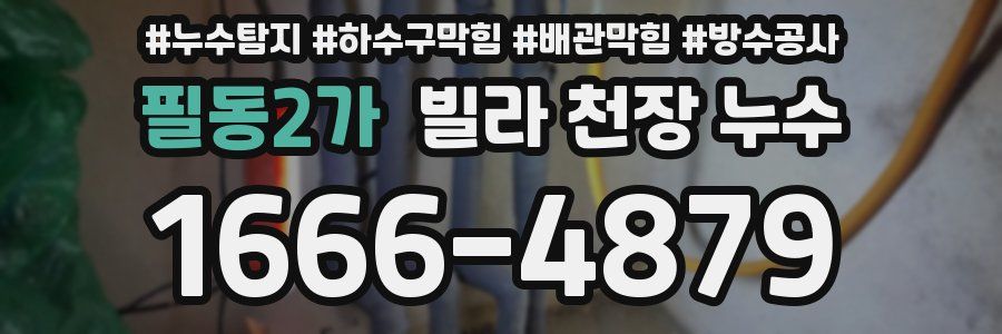 필동2가 빌라 천장 누수
