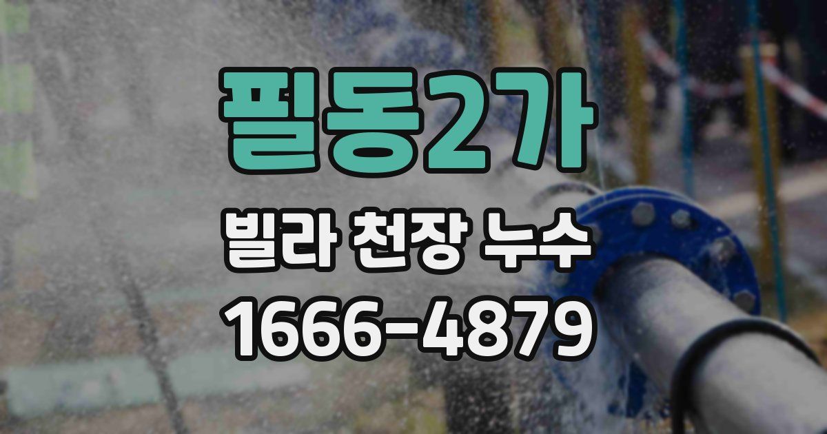 필동2가 빌라 천장 누수