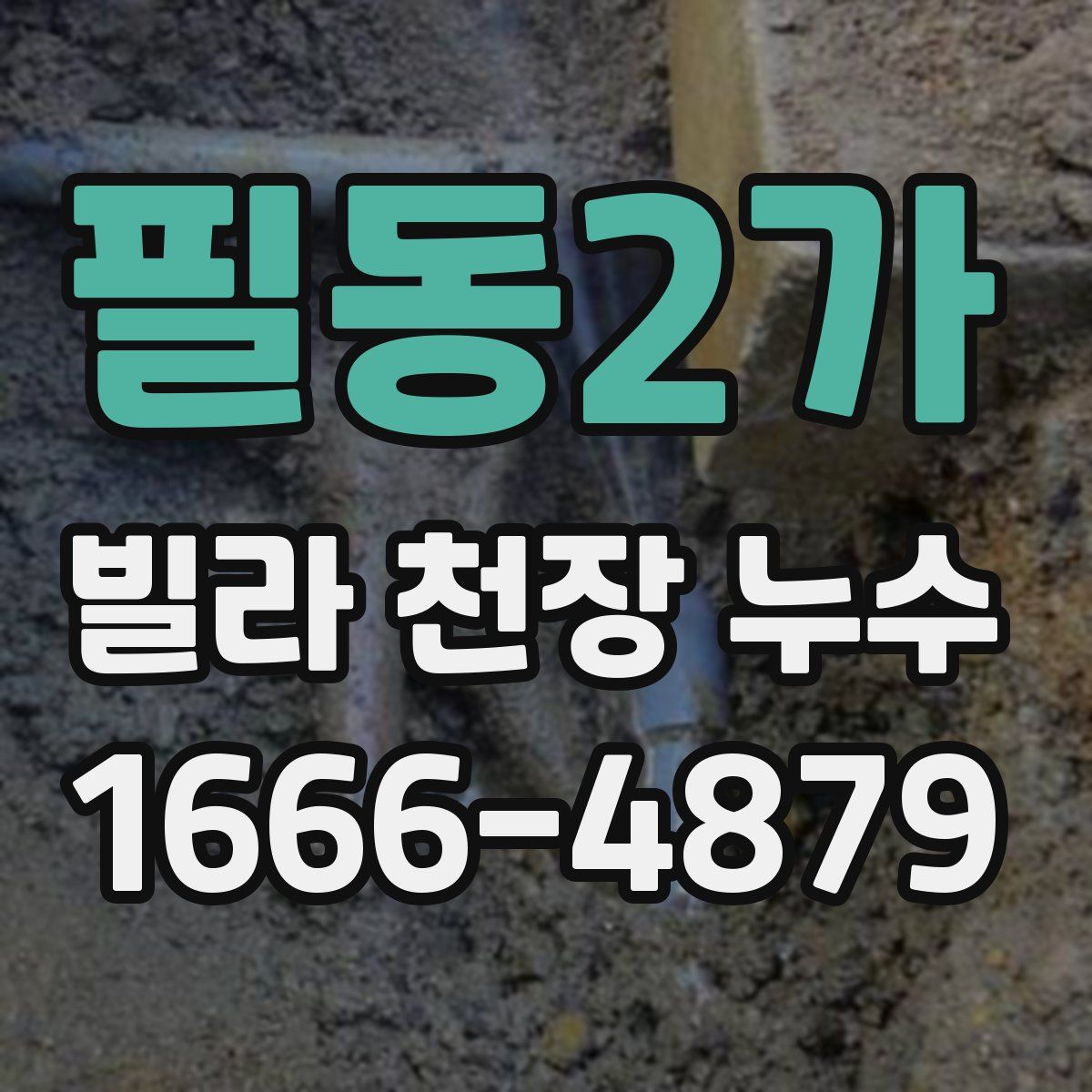 필동2가 빌라 천장 누수