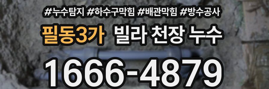 필동3가 빌라 천장 누수